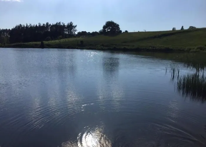 Wakacyjny Dom Na Kaszubach ,jeziora I Lasy. *
