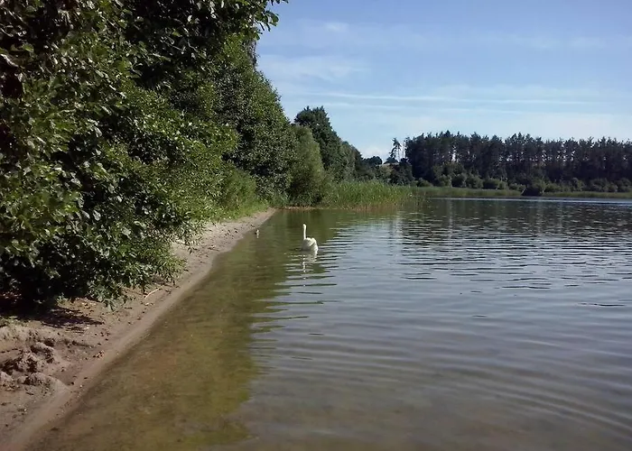 Wakacyjny Dom Na Kaszubach ,jeziora I Lasy. Semesterbostad